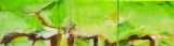 10v011 - Peintures 2011