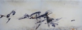 Elan - Peintures 2009