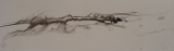 Encre de Chine - Encres de Chine