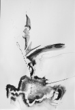 Encre de Chine - Encres de Chine