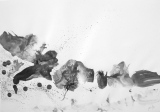 Encre de Chine - Encres de Chine